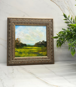 "Golden Rod" 6x6 Canvas Print